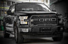 Ford Grilles & Accessories